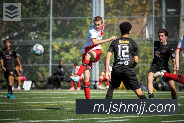 hth官方入口发展历程